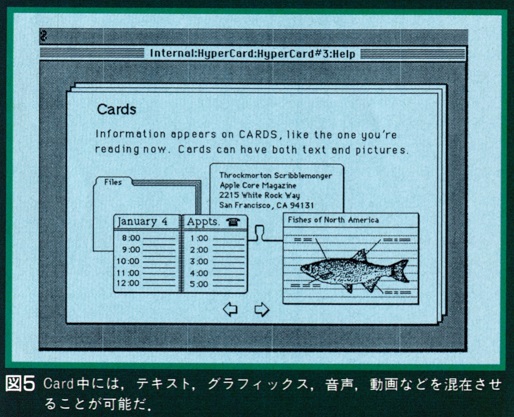 ASCII1987(11)d03HyperCard_図5_W514.jpg
