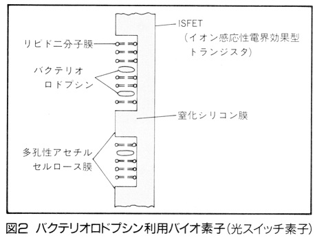 ASCII1988(01)g01TBN図2_W458.jpg