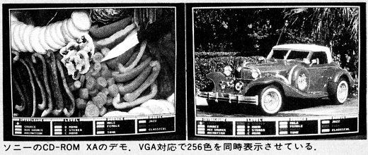 ASCII1989(06)b14写真2SONY_W520.jpg